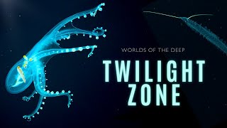 Mysteries of the Twilight Zone  Worlds of the Deep [upl. by Amolap363]