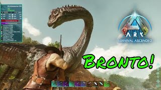 🦖 Ark Survival Ascended  Episode 29 Taming a Brontosaurus for Exceptional Kibble 🌟 [upl. by Oinegue]