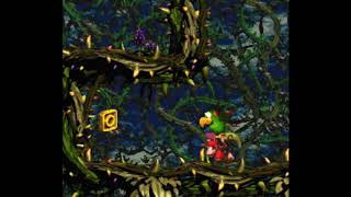 Donkey Kong Country 2 Diddys Kong Quest Bramble Scramble Bonus Coins  DK Coin Walkthrough [upl. by Elyagiba824]