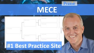 What is the MECE Mutually Exclusive Collectively Exhaustive in Lean Six Sigma  Praxie Software [upl. by Atinra]