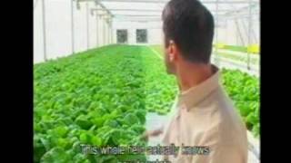 Lior Hessels Hydroponics Greenhouse [upl. by Nisior429]