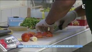 Dans ce zoo la nutrition est une affaire de goût [upl. by Narmis]