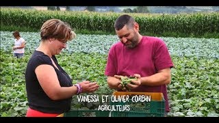 Cornichons Français Episode 1  Rencontre avec les hommes et femmes de la filière [upl. by Lewie]