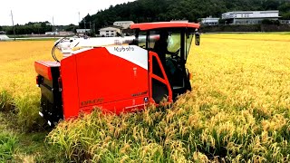 Kubota combine harvester DR472 クボタの4条72馬力コンバインで刈り取りSTAR🏃‍♂️ [upl. by Nally]