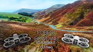 Forest of Bowland FPV drone autumn shootout — DJI Avata 2 vs DJI Neo Which is best [upl. by Repinuj]