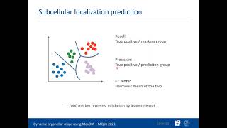 MQSS 2021  Dynamic organellar maps go ultrasensitive and highthroughput with MaxDIA [upl. by Ardnoek]