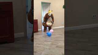 A fat shaggy yellow cat brings balloons to the doggie [upl. by Annij]