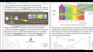 94  Le spectre dabsorption de la chlorophylle brute [upl. by Rosette87]