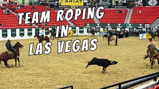 ARIAT Team Roping in Las Vegas South Point Hotel Arena amp Equestrian Center [upl. by Eppesiug46]