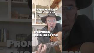 Promises  Eric Clapton cover version [upl. by Glennis]