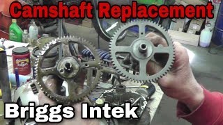 Troubleshoot amp Replace Camshaft On Briggs amp Stratton Intek Engine [upl. by Anurag]