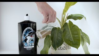 Orca Liquid Mycorrhizae  How to use [upl. by Va]