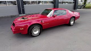 1976 Pontiac Firebird Trans Am Walkaround amp Sound [upl. by Hairim]