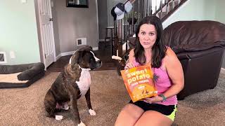 Watch my Boxer LOVE his new Treats [upl. by Ttereve]