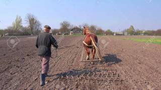 Mes Aïeux  Labourer la terre [upl. by Aliekahs]