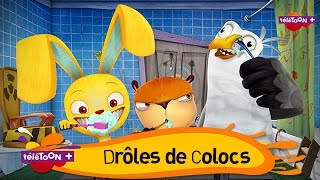 DRÔLES DE COLOCS  Tes nouveaux héros débarquent sur TéléTOON [upl. by Averat]