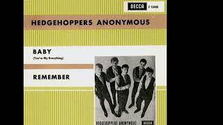 The Hedgehoppers Anonymous  Remember 1966 [upl. by Hector]