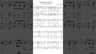 Kudenga Kwakanaka Music Sheet [upl. by Demahom]