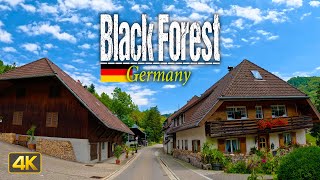 Driving through the Black Forest in Germany 🇩🇪 FULLlength 6 Hour Drive Drivers View [upl. by Chrissa]