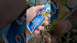 nyobain biskuit lemonia untuk pertama kalinya foodinsns lemonia nissin biscuit [upl. by Rawdon444]