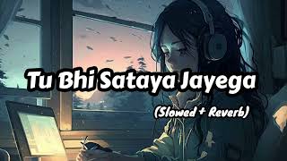 Tu Bhi Sataya Jayega SlowedReverb  Vishal Mishra [upl. by Bartle167]