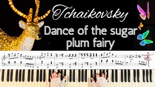 Tchaikovsky Nutcracker  Dance of the Sugar Plum Fairy piano  Stockeld Park Winter illuminations [upl. by Ocsic]