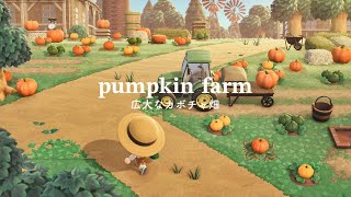 【あつ森】広大なカボチャ畑  pumpkin farm  Speed Build  AnimalCrossingNewHorizons  あつ森 [upl. by Brandise]