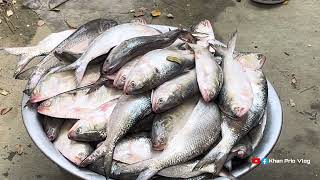 ইলিশ কিনলাম পদ্মার 😍  Poddar ilish 2024 [upl. by Arlon]