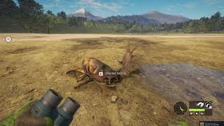 TheHunter Call Of The Wild Great One Fallow Deer Number 4 [upl. by Acined571]