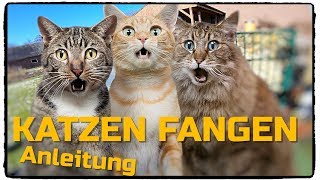 KATZEN FANGEN ANLEITUNG DEUTSCH [upl. by Alatea]