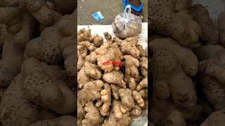 Potato🍠 essential for Chhath माईया Puja 🌺Fatok Bazar🌻 Silchar💐Shiv baba 🙏Please subscribe 🍇like [upl. by Harod]