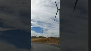 Wind Farm in newzealand [upl. by Nymrak806]