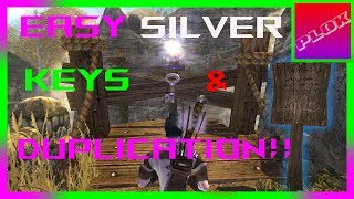 Easy Silver Key  Silver Key Duplication  Fable TLC [upl. by Niran765]