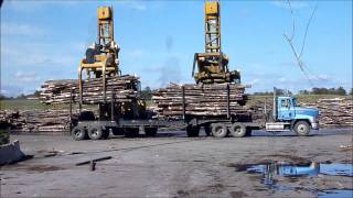 Log Stackers Unloading and Chipping Logs [upl. by Navinod]