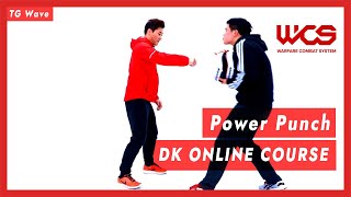 Power Punch  DK Online Course  DK Yoo [upl. by Ellehsor]