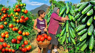 Harvesting Organic Vegetables and Cooking Traditional Azerbaijani Dish of Dolma [upl. by Analat]