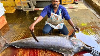 KASIMEDU 🔥 SPEED SELVAM  120 KG KOLA FISH CUTTING VIDEO  IN KASIMEDU  FF CUTTING 🔪 [upl. by Procto130]