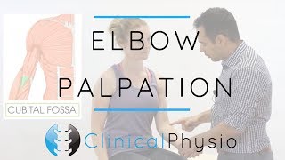 Elbow Palpation  Clinical Physio Premium [upl. by Waldemar175]