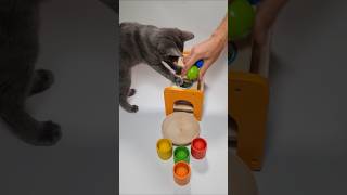 🌈 Xylophone Cat Carsik 🌈 Satisfying Sound Balls Mallet sweetmarblescandy xylophone catbarsik [upl. by Camus]