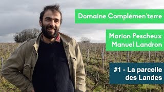 Domaine Complémenterre  1 Dans les Vignes de Melon de Bourgogne [upl. by Enneirb87]