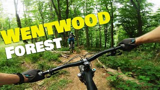 Checking out the steep and techy trails at Wentwood  South Wales Mountain Biking [upl. by Ecnarolf125]