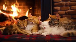 The Purring of Sleeping Kittens under a warm Fireplace 🔥 Relax and Sleep [upl. by Llehsor]