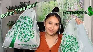 Dollar Tree Haul 2021 every thing is a dollar [upl. by Dolf]