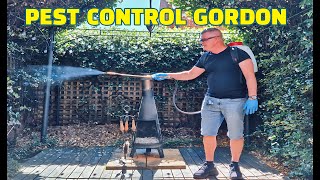 Pest Control Gordon Micropest Pest Control Sydney [upl. by Danczyk73]