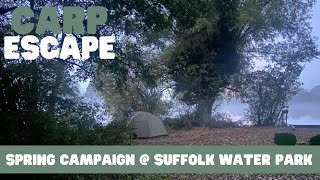 SPRING CAMPAIGN  Suffolk Water Park  CARP ESCAPE [upl. by Knoll698]