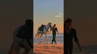 KATHIYAWADI HORSE 🐎 STATUS ♥️ lovely song amazing 🤩 kathiyawadihorse horse shortvideo horseride [upl. by Ailhat409]