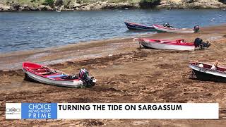 TURNING THE TIDE ON SARGASSUM [upl. by Brad]