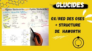 📣3 LES GLUCIDES PARTIE01 👌Oxydation et Reduction Des OsesStructure Cyclique De Haworth BIOLOGY [upl. by Ylicic]