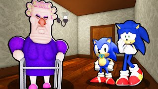 SONIC AND BABY SONIC VS ESCAPE GRUMPY GRAN IN ROBLOX [upl. by Kepner]