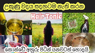 කරාබු නැට්ටෙන් කොන්ඩේ ඉක්මනින් වවමු  How to remove head lice Cloves Hair Treatmet [upl. by Stenger]